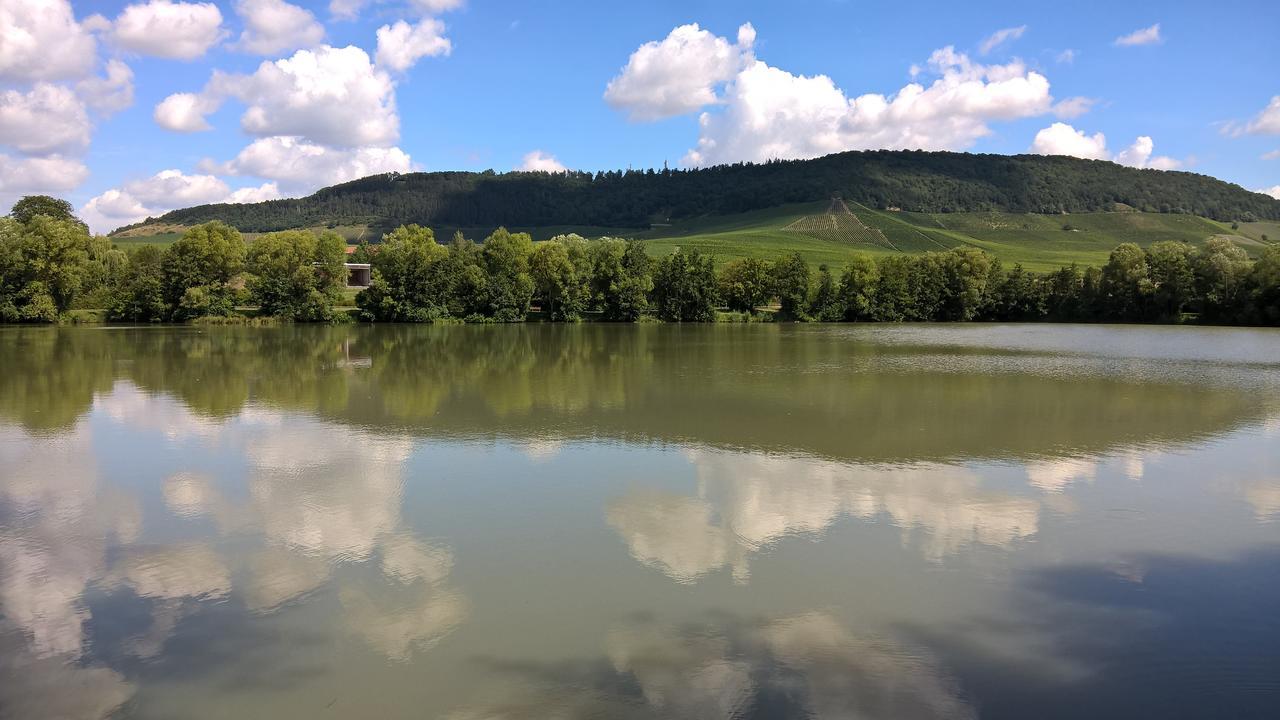 Das Kleine Hotel Iphofen, Fruehstueckszauber, No Waste, Nachhaltig, Nahe Aller Weingueter, Knauf Gips Kg Und Connekt, Kleines Secret Mit Garten & Terrassen, Tv Mirrorring, 55" Tv, Fine Dining, Hunde Willkommen Exterior photo